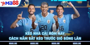 Kèo Nhà Cái Hôm Nay - Cách Nắm Bắt Kèo Trước Giờ Bóng Lăn